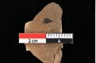 Foto (Detailansicht) von Widdringtonia ungeri Endl. (NHMW-GEO-2024-0188-0127)